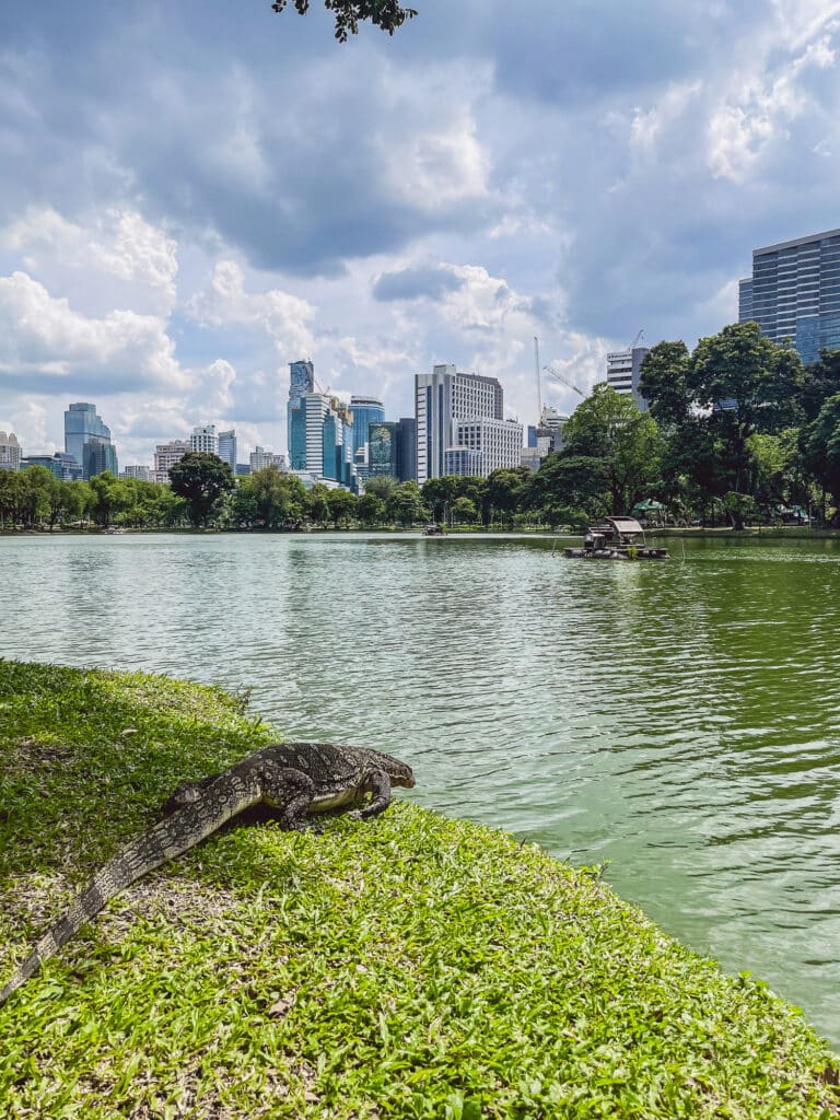 Lumphini Park Bangkok