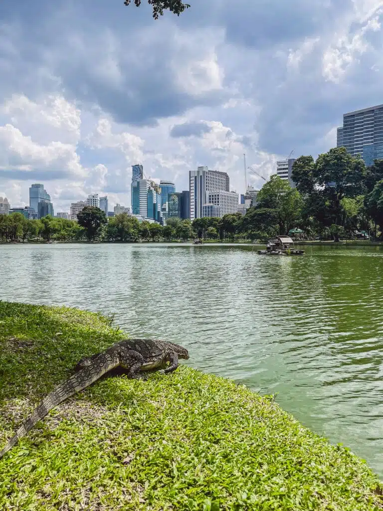 Lumphini Park Bangkok