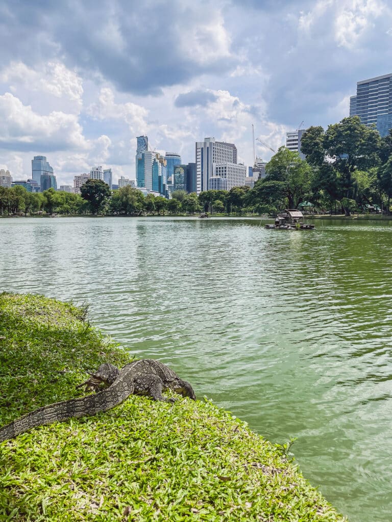 Lumphini Park Bangkok - Monitor Lizard