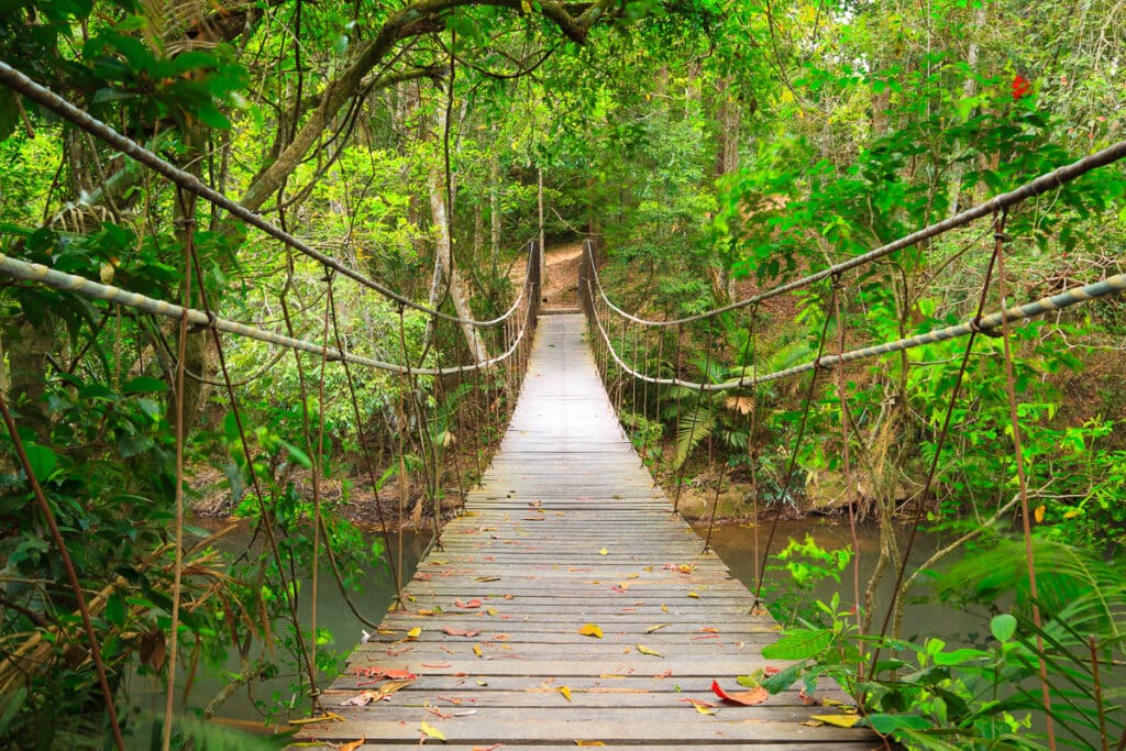 Khao Yai National Park