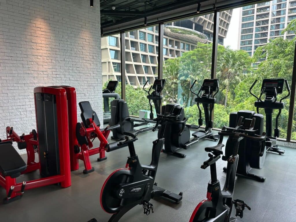 Cardiogeräte Mit Gartenblick Im Gym