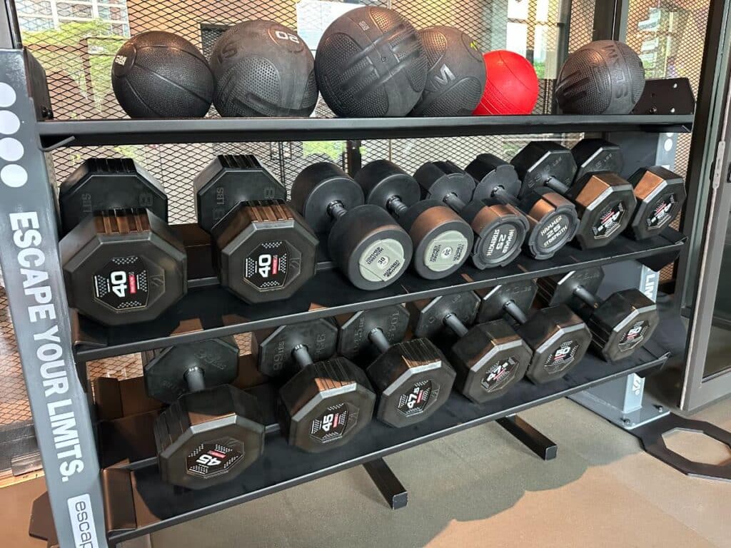 Kurzhanteln Und Medizinbälle Im Gym